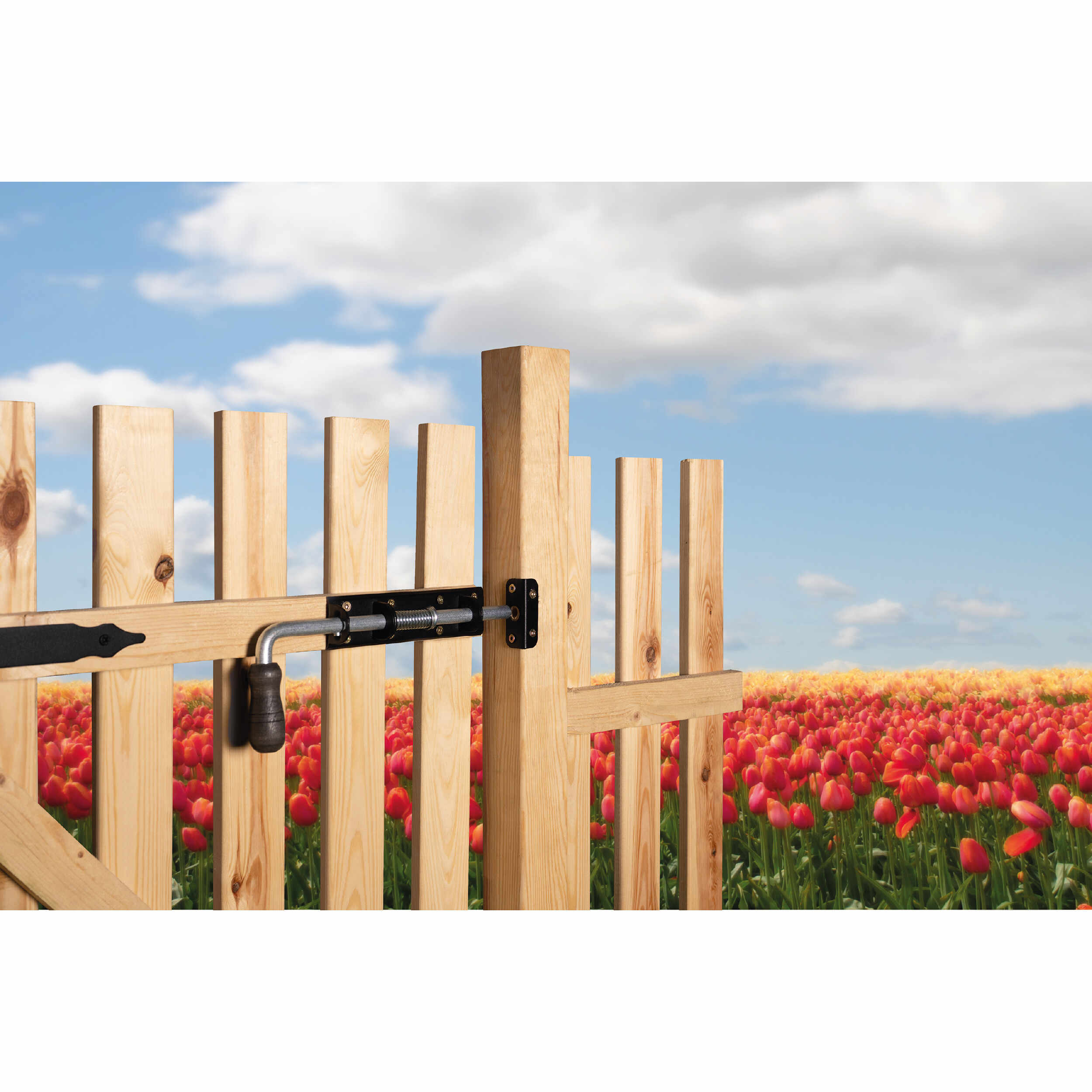 Runder Federriegel mit Holzgriff Bolzenriegel - WSP | verzinkt | 420 mm Federriegel mit Holzgriff rund WSP, gold, 420 mm, 420x190x50 mm, Baustahl DC01 1.