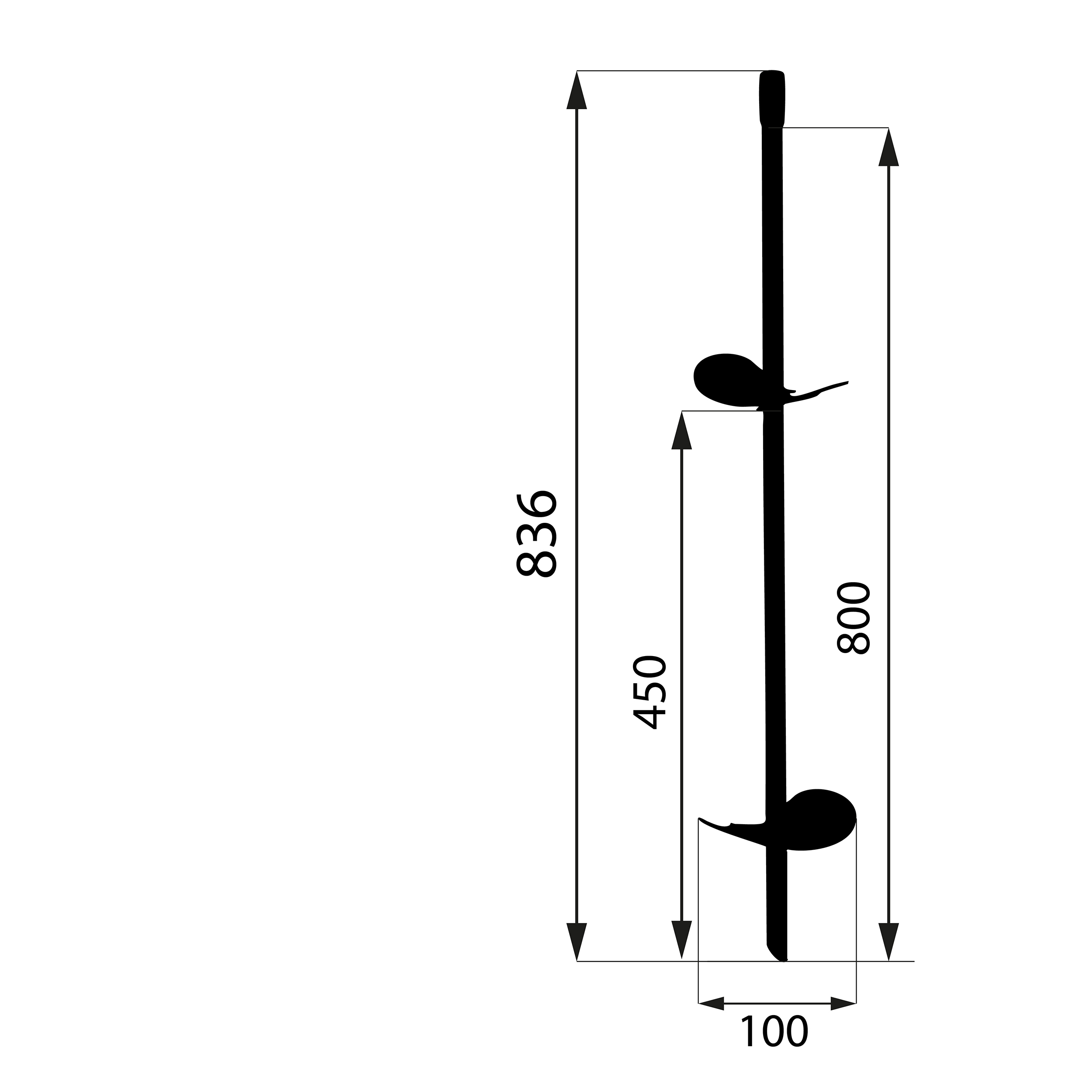 Kotwa podstawa wkręcana do gruntu z nakrętką sześciokątną - PWT | 100x800 | M12
