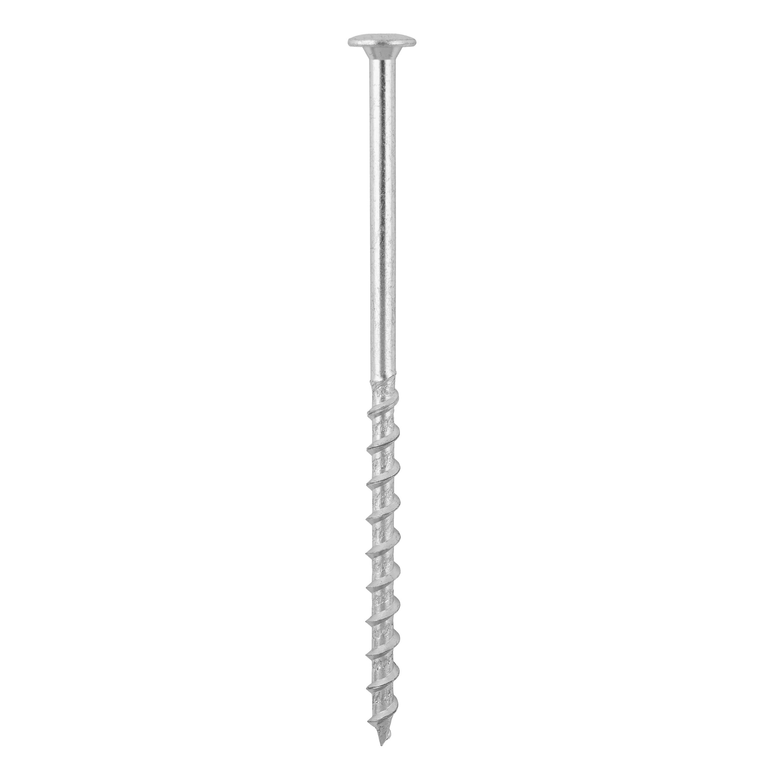 Gasbetonschrauben Tellerkopf TORX - GT | 8 x 160 mm | verzinkt | 50 Stk. TORX GT Porenbetonschrauben mit Tellerkopf, 8x160 mm, silber, 50 Stk., gehÀrteter Kohlenstoffstahl.