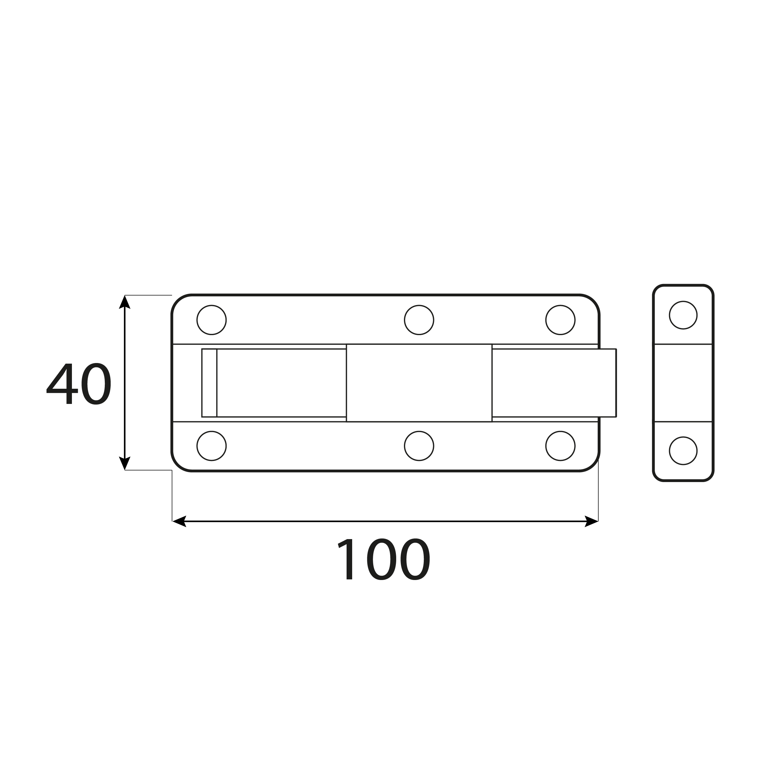 Zasuwka zamknięcie z ryglem prostym do furtek - WZTW | Złoty | 100 mm