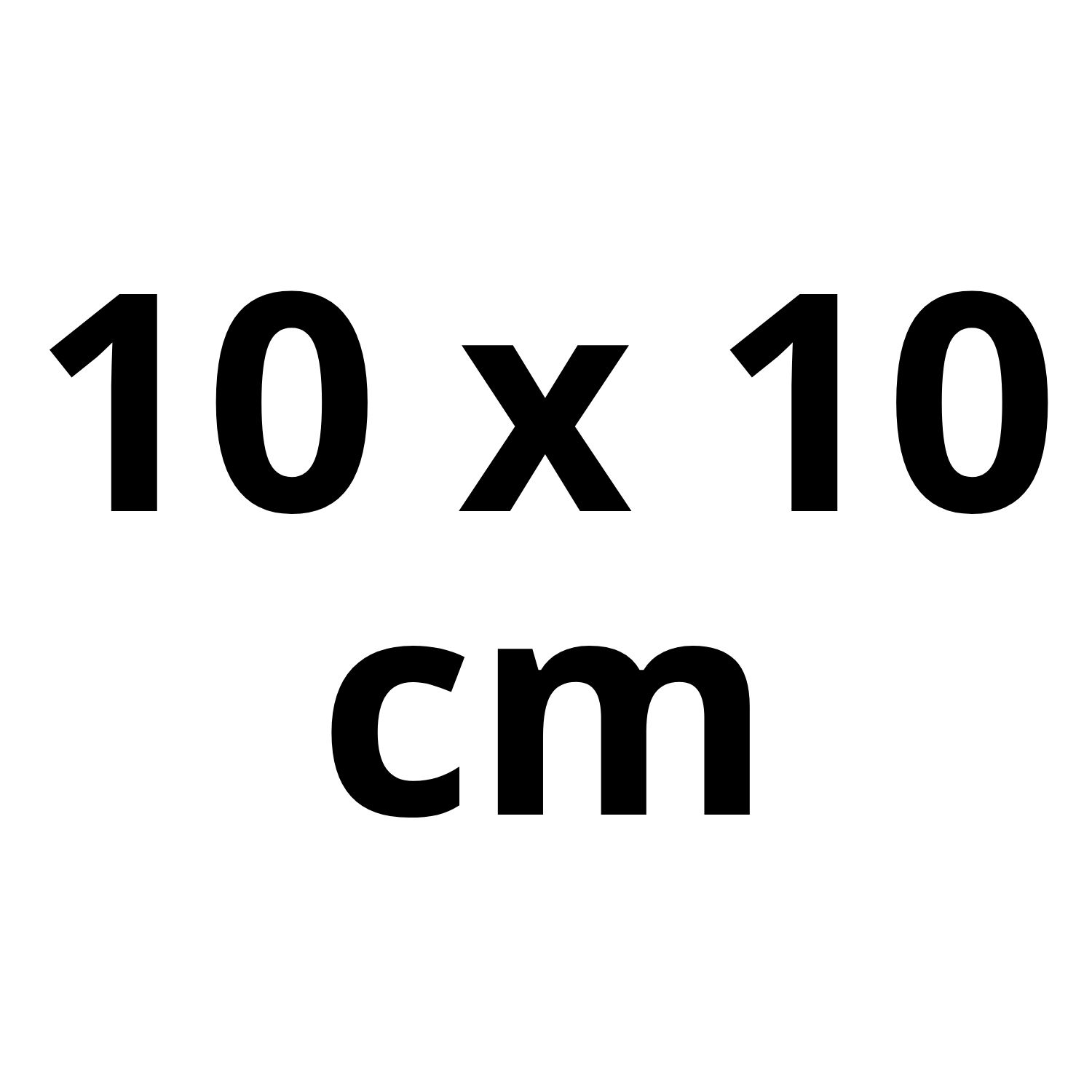 Pfostenträger  10x10