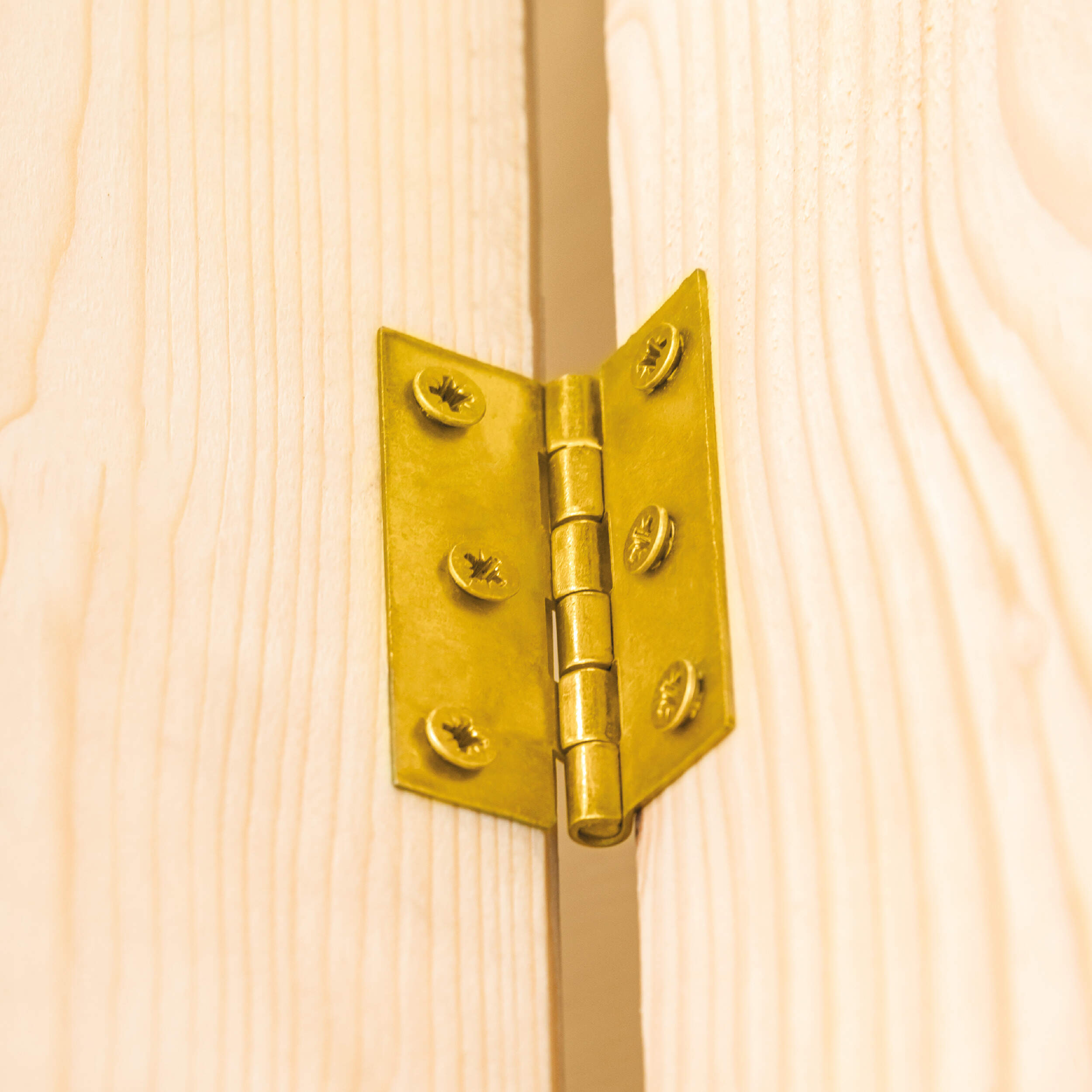 Zawias płaski budowlany splatany - ZS 25 | 25 mm | Złoty | 24 mm Zawias płaski budowlany splatany - ZS 25 | 25 mm | Złoty | 24 mm